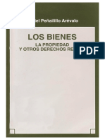 Los Bienes Daniel Pen Ailillo