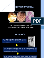 Linfangiectasia Intestinal