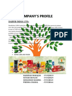 Company'S Profile: Dabur India LTD