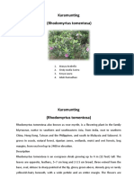Karamunting (Rhodomyrtus Tomentosa) : 1. Atasya Arabella 2. Sindy Audia Sastra 3. Kesya Laura 4. Ailah Ramadhan