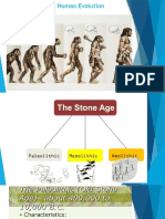 Stages of Human Evolution