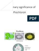 Unit7 - Evolutionary Significance of Prochloron-1