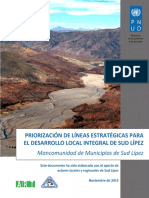 Priorizacion de Lineas Estrategicas Sud Lipez