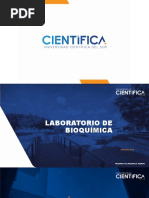 Bioquímica Laboratorio Sem-10 Hidrólisis de Lípidos 2022-1