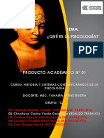 Producto Academico Nº01