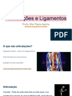 Articulações e Ligamentos