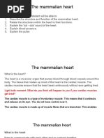 The Mammalian Heart