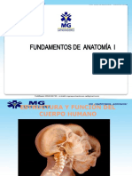 Estructura y Función Del Cuerpo Humano