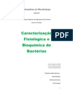 Relatorio de Microbiologia - Caracterização Fisiologica e Bioquimica de Bacterias