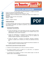 Tejidos de Animales para Cuarto de Secundaria