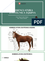 2 - Instalações para Equinos