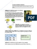 3.bloque III Herencia Genética (B)