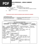 Actividad Ciencia - Sistema Respiratorio