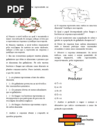 Fluxo de Matéria e Energia - Cadeia e Teia Alimentar