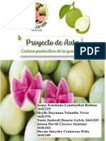 Poster, Agroguayaba