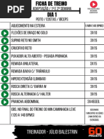 Adaptação - Parte 1 - 2 Semanas