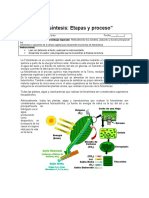 5 BIOLOGIA Fotosíntesis Retroalimentada