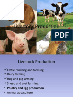 Poultry Production Final