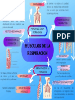 Musculos de La Respiracion