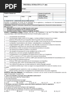 Prueba Sumativa 2 Sistema Endocrinoo