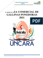 Crianza Comercial de Gallinas Ponedoras