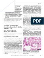 Aberrant Ascaris Suum Nematode Infection in Cattle, Missouri, USA