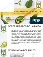 Poscosecha de Palta