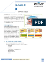 Biología - Citología - II - Reg 2