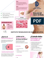 Triptico Cancer de Mama