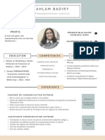 Curriculum Vitae 2022