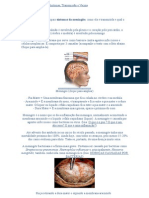 MENINGITE Bacteriana