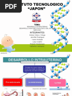 Desarrollo Intrauterino