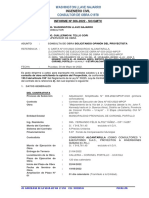 Informe 06 Consulta 01 Opinión Proyectista