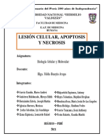 Lesión Celular, Apoptosis y Necrosis