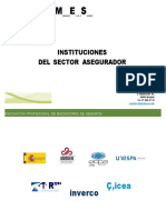 2.instituciones Del Sector Asegurador