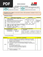 24 de Junio C Y T Tipos de Plantas