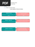 Cuadro Sinóptico de Niveles de Gobierno - Organizacion Territorial Del Estado