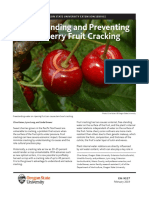 Understanding and Preventing Sweet Cherry Fruit Cracking: Oregon State University Extension Service