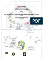 Mapa Mental de La Repùblica Federal