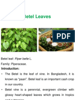 Betel Leaves