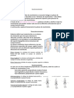 Ejes de Movimiento