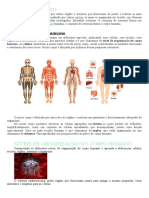 CORPO HUMANO Introdução e Níveis de Organização