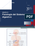 12.fisiologia Del Sistema Digestivo (Autoguardado)