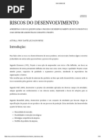 Riscos Do Desenvolvimento