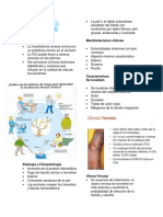 Ulceras y Pie Diabetico