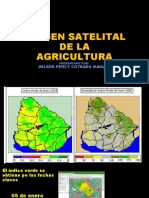 Imagen Satelital de La Agricultura