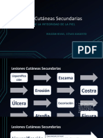 Lesiones Cutáneas Secundarias