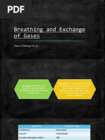 Breathing and Exchange of Gases: Class 11 Biology Ch. 17