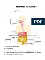 Rev - Notes - ch06 - e Human Nutrition