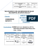 Hormix - Plan de Seguridad y Salud Ocupacional - v3